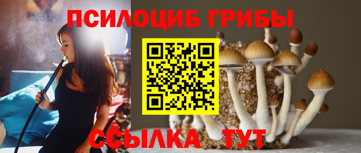 Псилоцибиновые грибы Psilocybine cubensis Домодедово